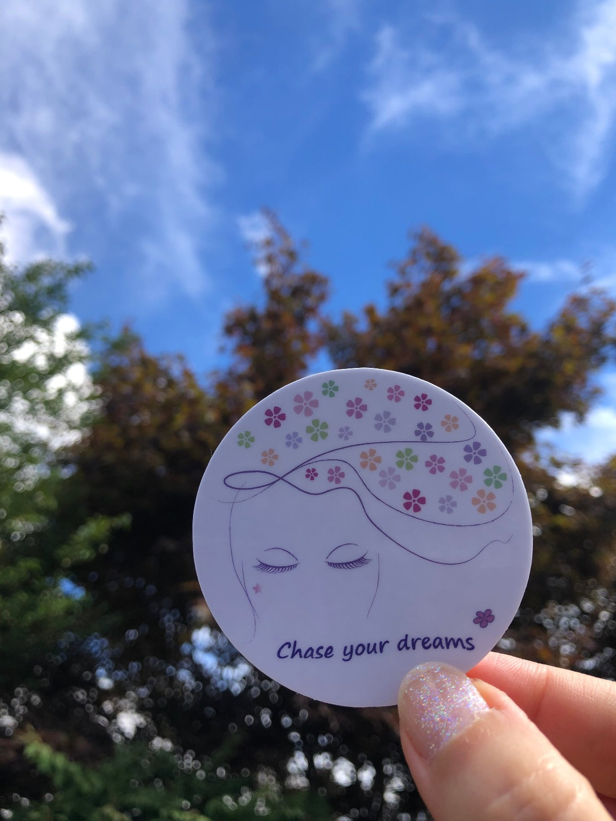 Chase your dreams - Sticker