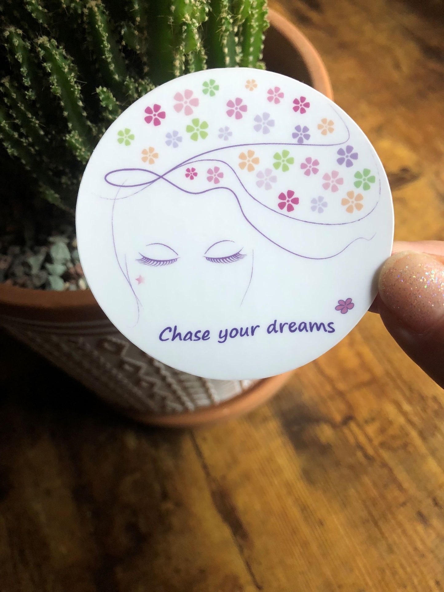 Chase your dreams - Sticker